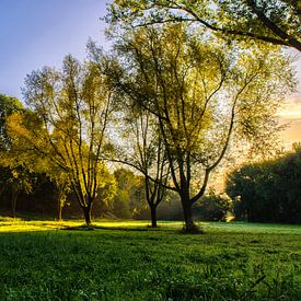 Zonsopgang in het Westerpark von Richard Bremer