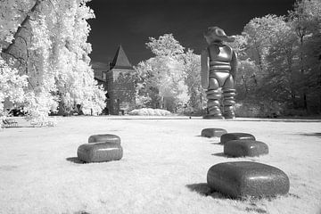 Niederländische Landschaft in der Infrarotfotografie von Wim van Gerven