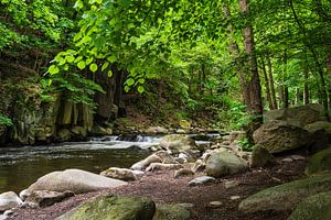 Landschaft im Bodetal im Harz