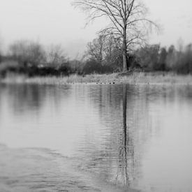 Ooijpolder in de winter | zwart-wit | Lensbaby van Gabry Zijlstra