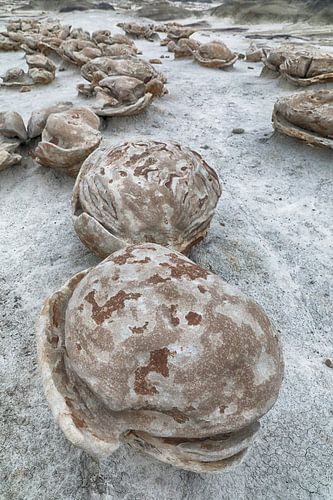 Gestreepte rotseieren met zandsteen bij dageraad, Bisti Badlands, De-Nah-Zin Wilderness Area, New Me