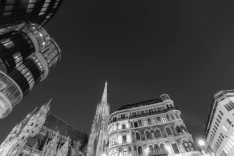 Stephansplatz in Wien bei Nacht - monochrom von Werner Dieterich