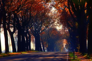 Indian Summer Alley 2