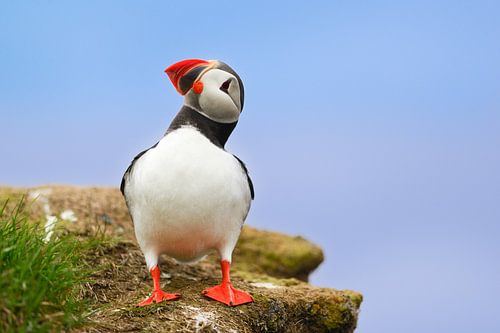 I've got you covered though!