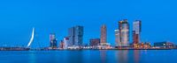 Skyline Kop van Zuid