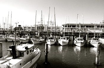 Bateaux NB, San Francisco, Californie