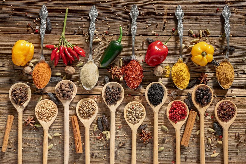 Exotic world of spices: chilli, cinnamon and star anise by Photo Art Thomas Klee