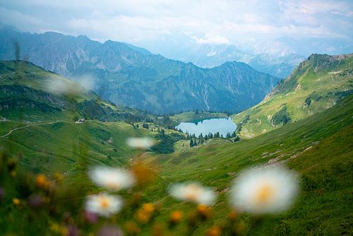 Bloemrijk uitzicht op de Seealpsee in de Allgäuer Alpen