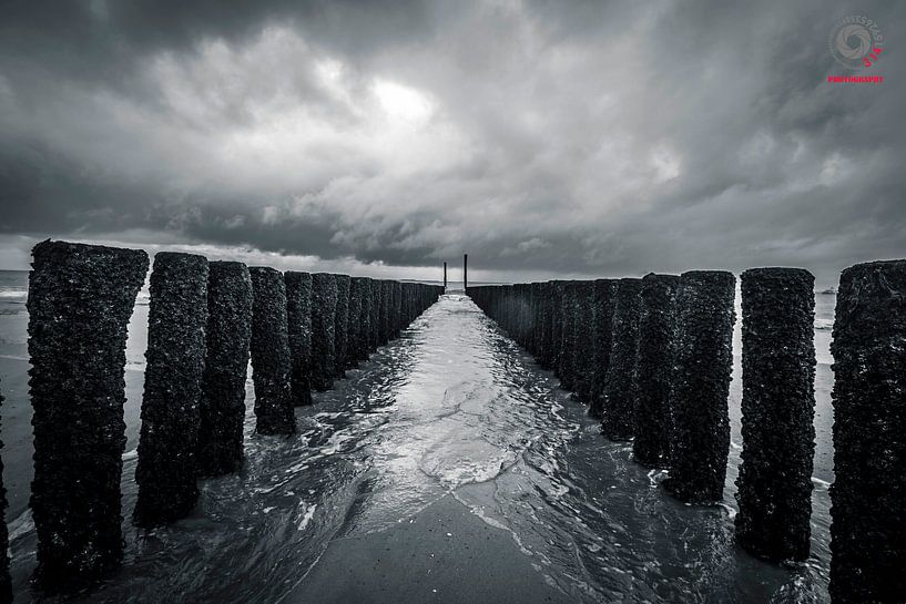 Gulfbeakers von 3,14 Photography