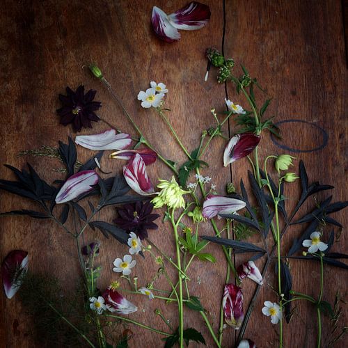 Fleurs cueillies dans le jardin