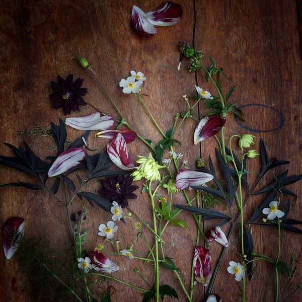 Flowers picked from the garden by Hanneke van Dijk