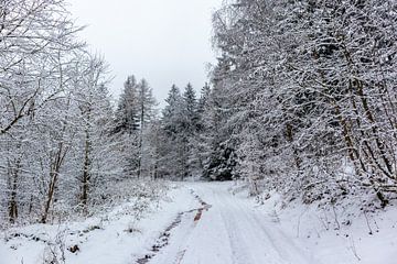 Winter ontdekkingstocht door het Thüringer Woud van Oliver Hlavaty