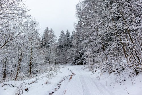 Winter ontdekkingstocht door het Thüringer Woud