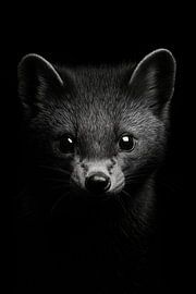 Marder. von Poster Art Shop