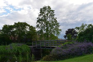 Coach house garden b