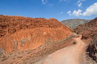 Bochtige onverharde weg door de Heuvels van de Zeven Kleuren bij Purmamarca, Argentinië van Marc Venema thumbnail