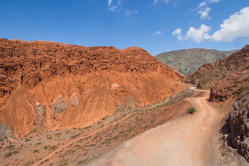 Bochtige onverharde weg door de Heuvels van de Zeven Kleuren bij Purmamarca, Argentinië van Marc Venema