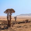 Le vide infini en Namibie sur Mark Sluijmers