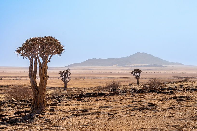 Betekenisvolle leegte in Namibië van Mark Sluijmers