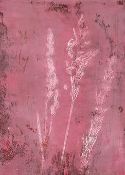Grassen in roze. van Dina Dankers