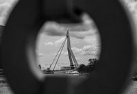 Pont Erasmus