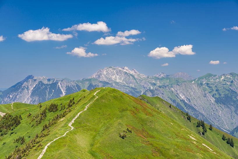 Sentier panoramique à travers les roses des Alpes par Walter G. Allgöwer
