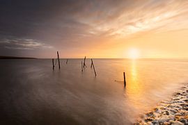 Fischabschuss im Wattenmeer von KB Design & Photography (Karen Brouwer)