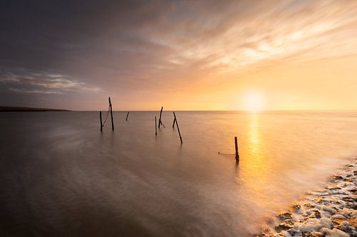 Visstoken in de Waddenzee