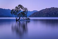 Lake Wanaka op het blauwe uur, Nieuw-Zeeland van Markus Lange thumbnail