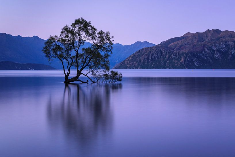 Lake Wanaka op het blauwe uur, Nieuw-Zeeland van Markus Lange
