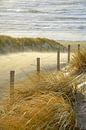 Beach, sea and sun on a stormy evening! by Dirk van Egmond thumbnail