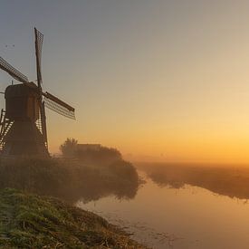 Molen Weel en Braken in het weiland tijdens een mistige zonsopkomst van Bram Lubbers