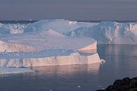 Les icebergs au Groenland à la lumière du soir par Ralph Rozema Aperçu