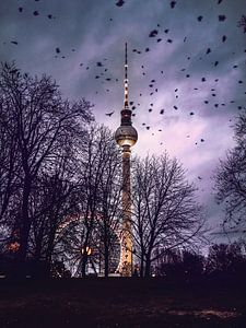 Birds Invasion von Iman Azizi