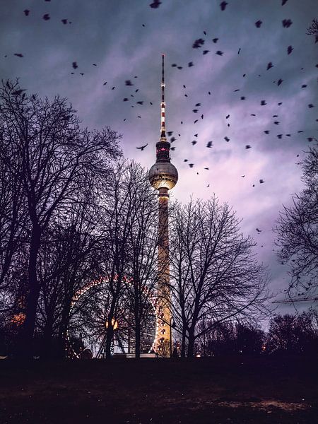 l'invasion des oiseaux par Iman Azizi
