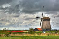 Molen en bollenveld by Jan Siebring thumbnail