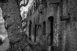 Canal in Utrecht by John Brugman