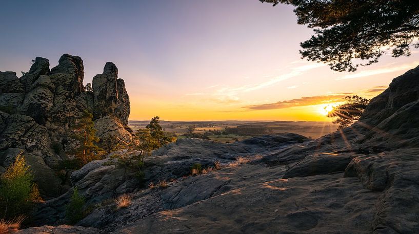 Hamburg coat of arms in the sunlight by Steffen Henze