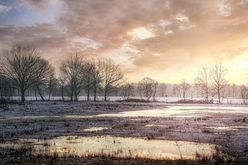 Wintermorgen in Kempen-Broek natuurgebied
