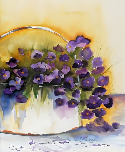 Violettes du Cap