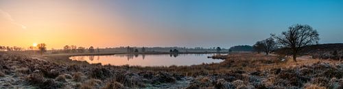 Misty Sunrise Pikmeeuwenwater