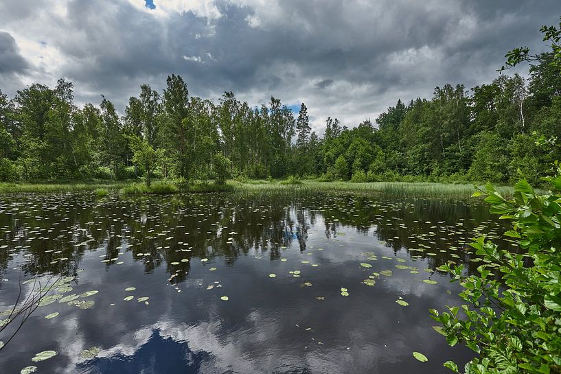Swedish landscape 181 by Geertjan Plooijer