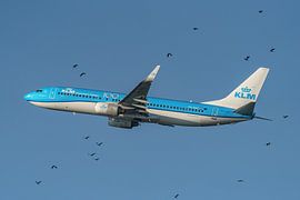 Start der KLM Boeing 737-800. von Jaap van den Berg