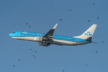 Décollage du Boeing 737-800 de KLM. sur Jaap van den Berg