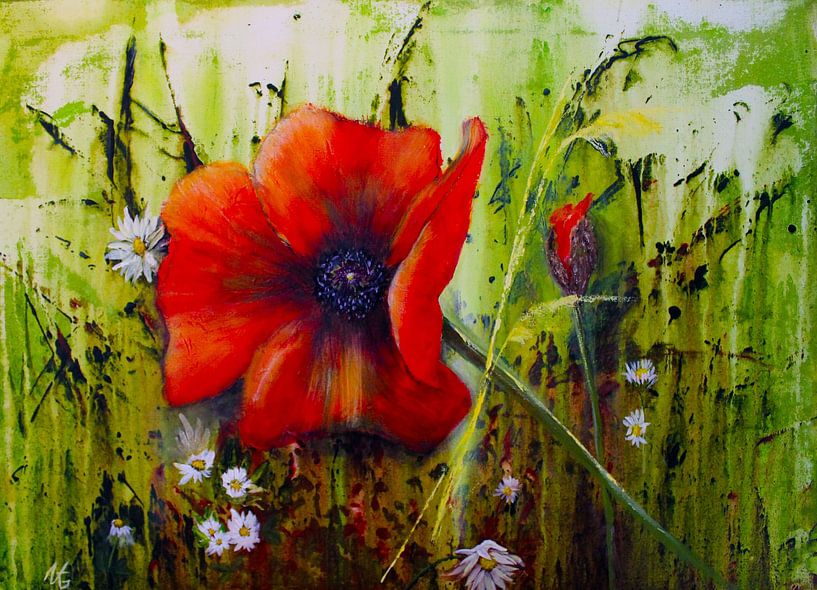 Coquelicot par M.A. Ziehr