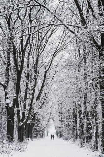 Winter landschap in Nederland op de Utrechtse heuvelrug