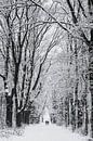 Winter landschap in Nederland op de Utrechtse heuvelrug van Peter Haastrecht, van thumbnail