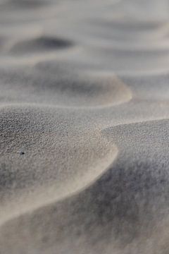 Art on Terschelling by Lydia