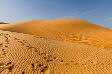 Patronen in de Wahiba Sands woestijn in Oman van Kelly De Preter