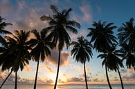 Zonsondergang Aitutaki van Laura Vink thumbnail